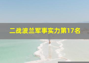 二战波兰军事实力第17名