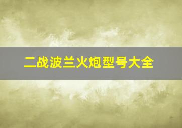 二战波兰火炮型号大全