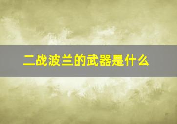 二战波兰的武器是什么