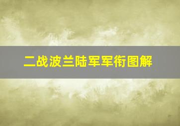 二战波兰陆军军衔图解