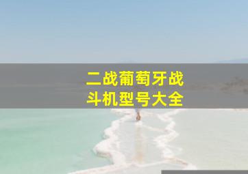 二战葡萄牙战斗机型号大全