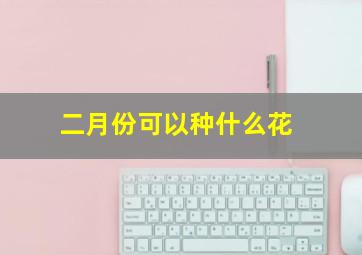 二月份可以种什么花