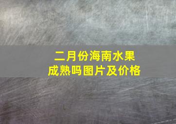 二月份海南水果成熟吗图片及价格