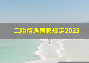 二胎待遇国家规定2023