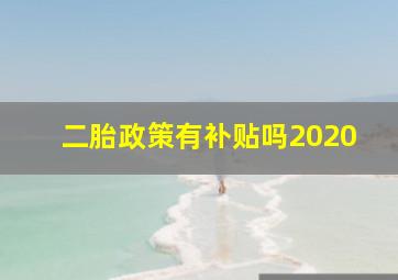 二胎政策有补贴吗2020