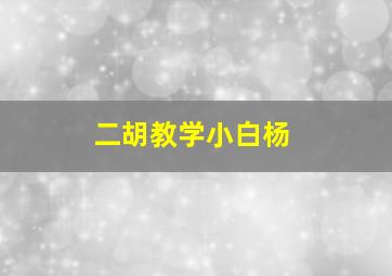 二胡教学小白杨