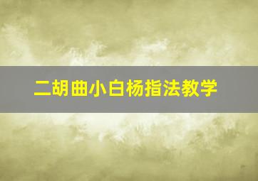 二胡曲小白杨指法教学