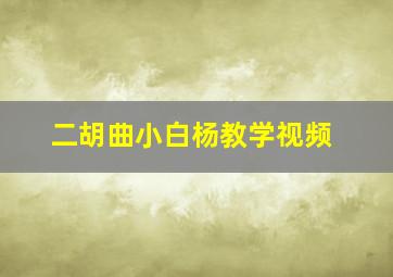 二胡曲小白杨教学视频