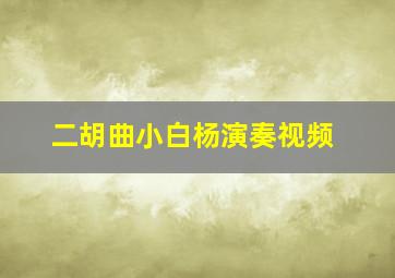 二胡曲小白杨演奏视频