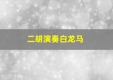 二胡演奏白龙马