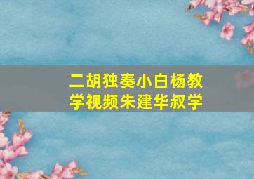 二胡独奏小白杨教学视频朱建华叔学