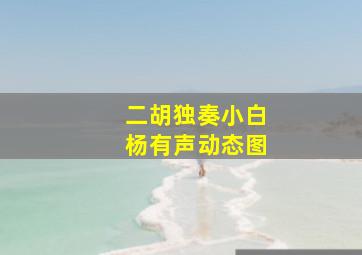 二胡独奏小白杨有声动态图