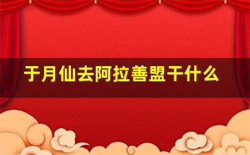 于月仙去阿拉善盟干什么