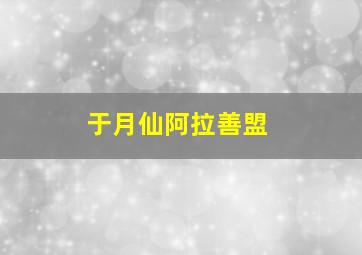 于月仙阿拉善盟