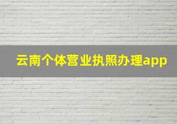 云南个体营业执照办理app