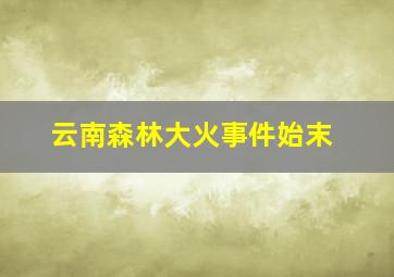 云南森林大火事件始末