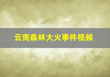 云南森林大火事件视频