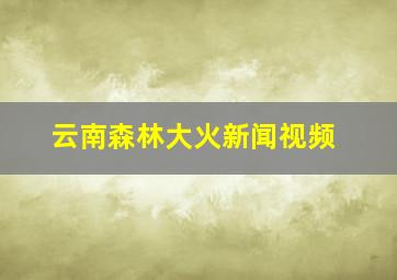 云南森林大火新闻视频