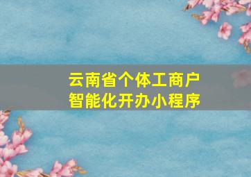 云南省个体工商户智能化开办小程序