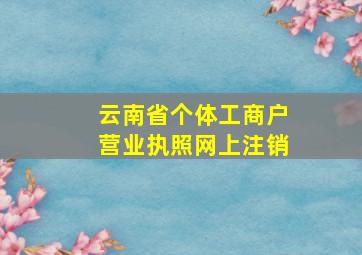 云南省个体工商户营业执照网上注销