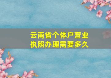 云南省个体户营业执照办理需要多久