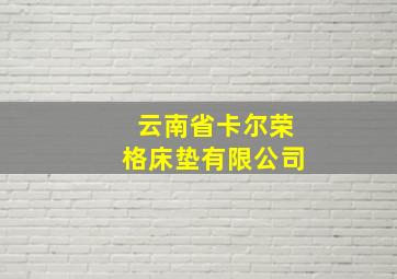 云南省卡尔荣格床垫有限公司