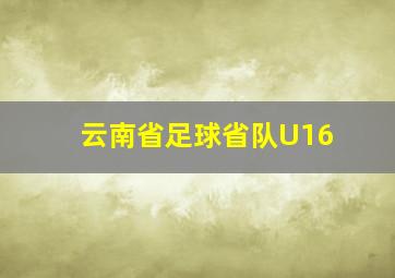 云南省足球省队U16