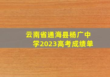 云南省通海县杨广中学2023高考成绩单