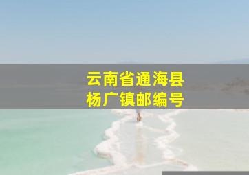 云南省通海县杨广镇邮编号