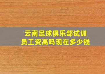 云南足球俱乐部试训员工资高吗现在多少钱