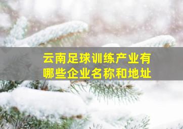 云南足球训练产业有哪些企业名称和地址