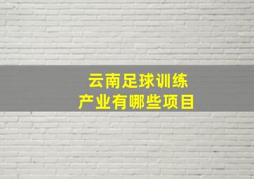 云南足球训练产业有哪些项目