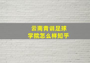 云南青训足球学院怎么样知乎