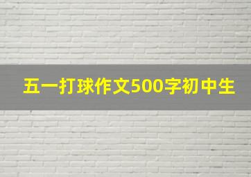 五一打球作文500字初中生