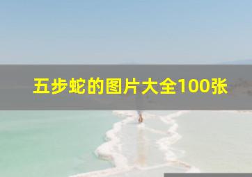 五步蛇的图片大全100张