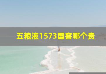 五粮液1573国窖哪个贵