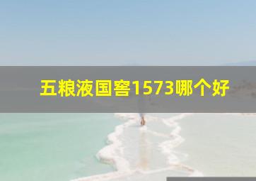 五粮液国窖1573哪个好