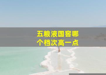 五粮液国窖哪个档次高一点