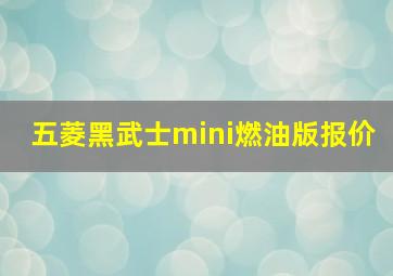 五菱黑武士mini燃油版报价