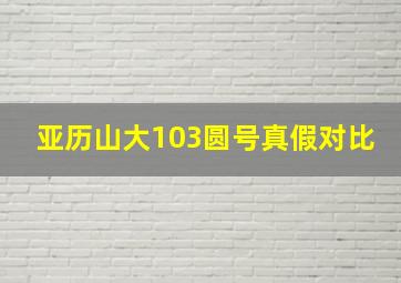 亚历山大103圆号真假对比