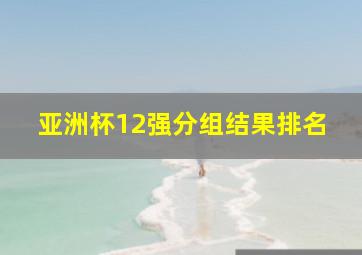 亚洲杯12强分组结果排名