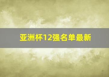 亚洲杯12强名单最新