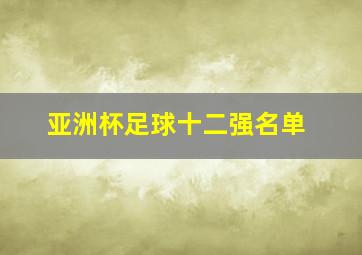 亚洲杯足球十二强名单