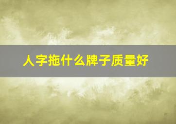 人字拖什么牌子质量好