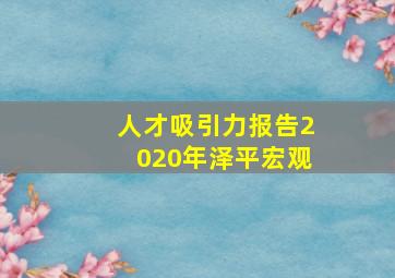 人才吸引力报告2020年泽平宏观