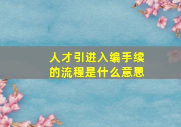 人才引进入编手续的流程是什么意思