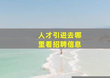 人才引进去哪里看招聘信息