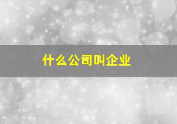 什么公司叫企业