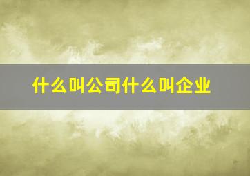 什么叫公司什么叫企业