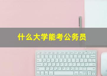 什么大学能考公务员